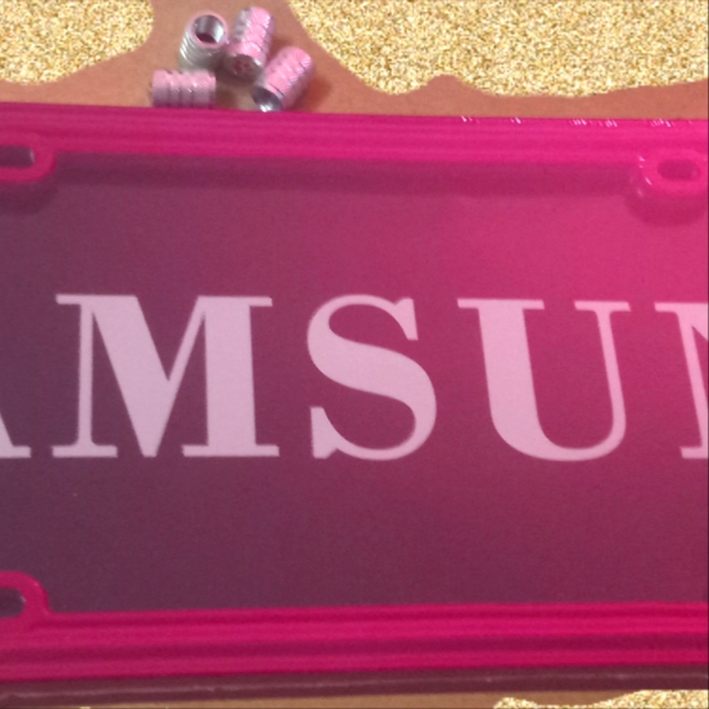 Liscense Plate Cover